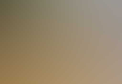 Templates by Omniverso Consulting S.L.